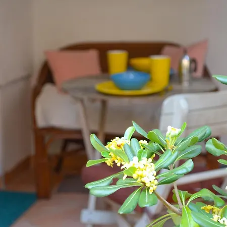 Seaside Cozy * 伊佐拉
